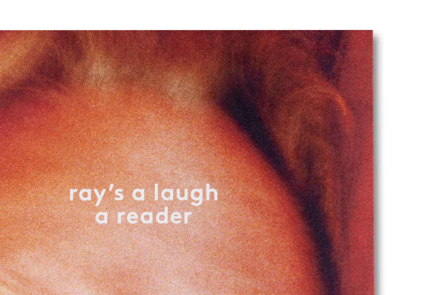 Ray's a Laugh: A Reader - Image 26