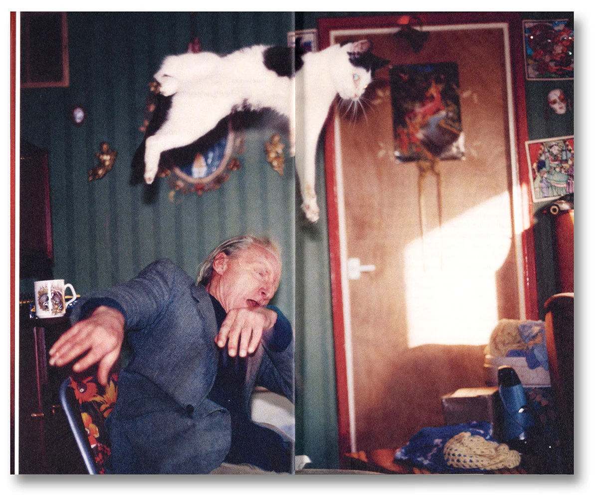 Ray's a Laugh: A Reader - Image 5