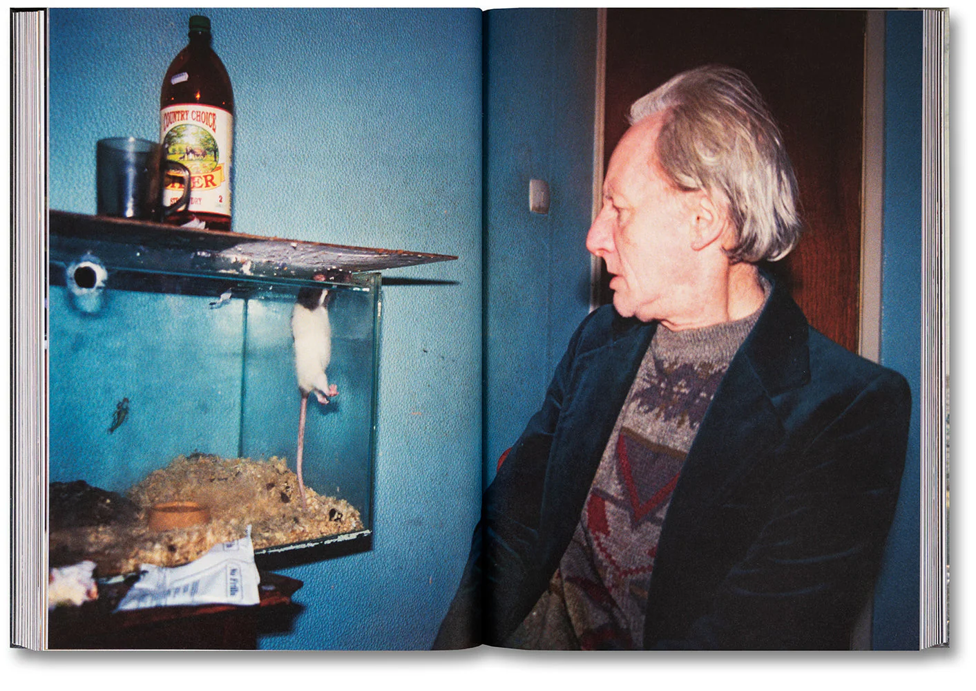 Ray's a Laugh - Image 29