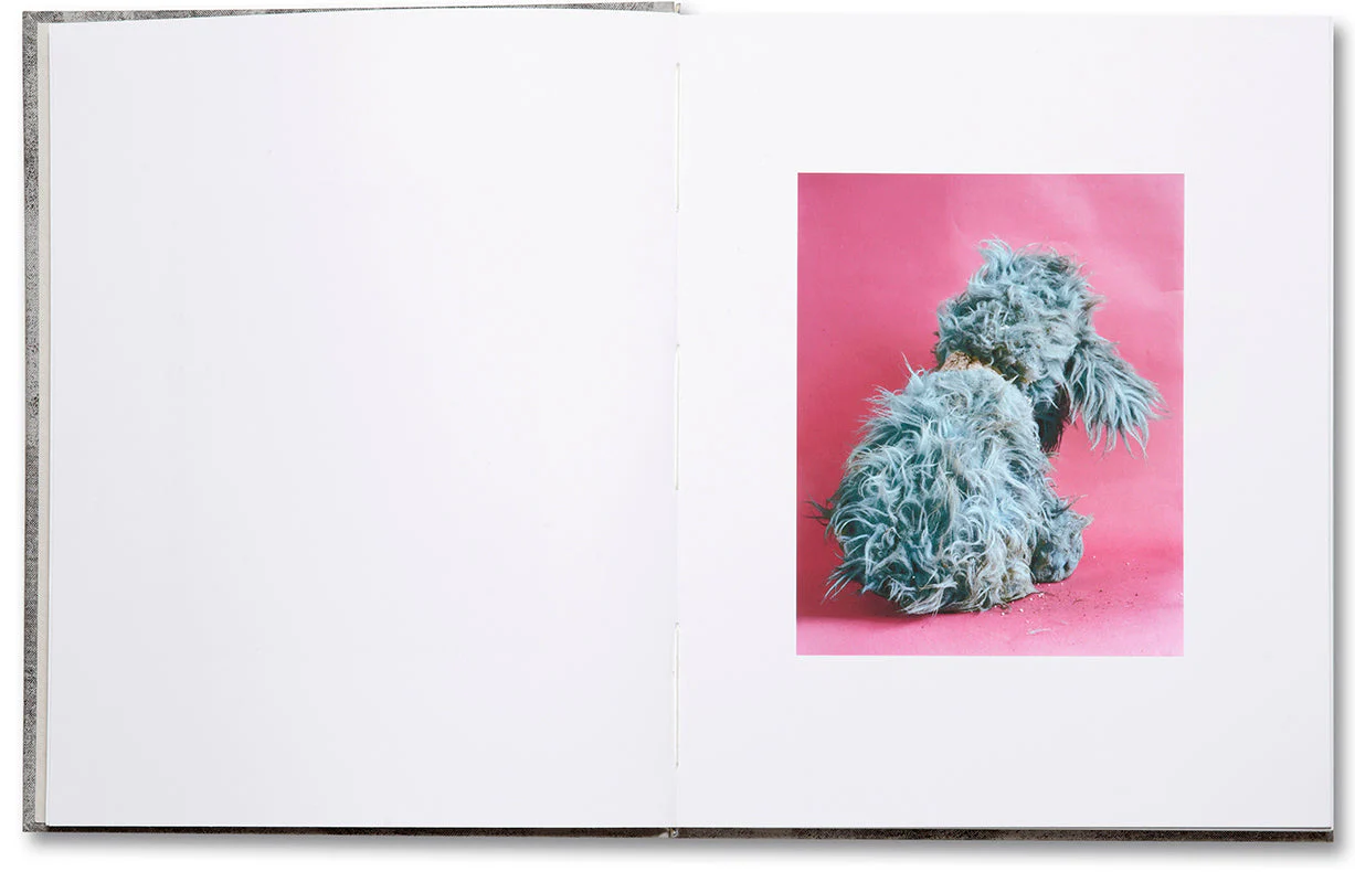 Redheaded Peckerwood (Second edition) - Image 4
