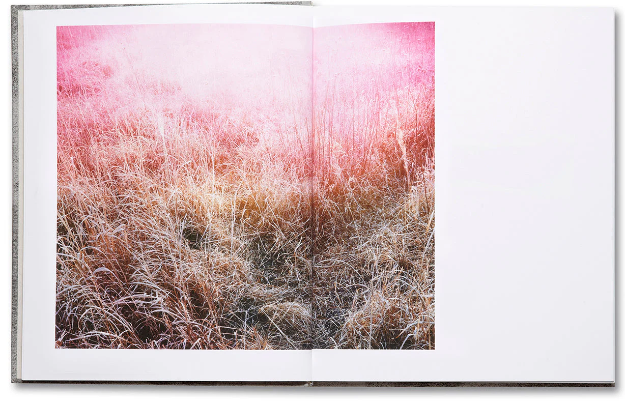 Redheaded Peckerwood (Third edition) - Image 5
