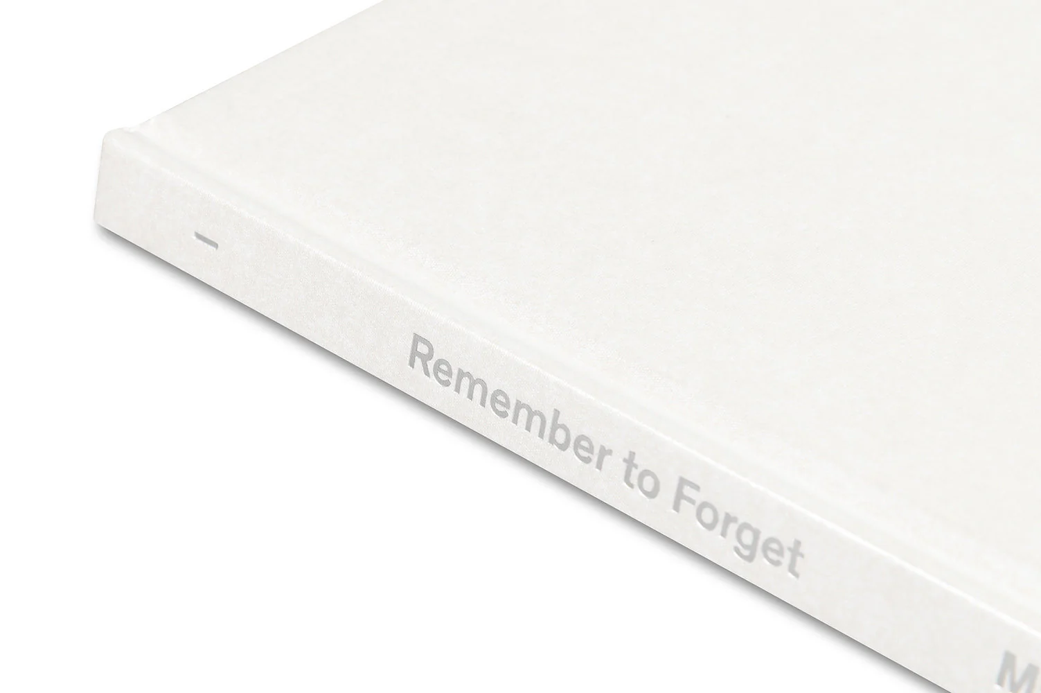 Remember to Forget - Image 39