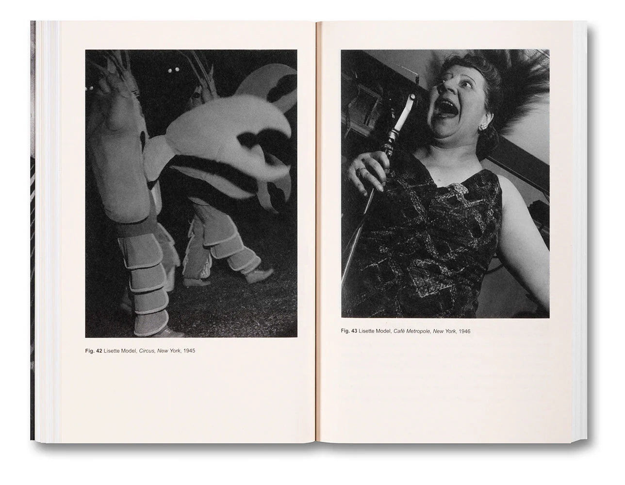 Renegade: Photography in the Life of Lisette Model - Image 12