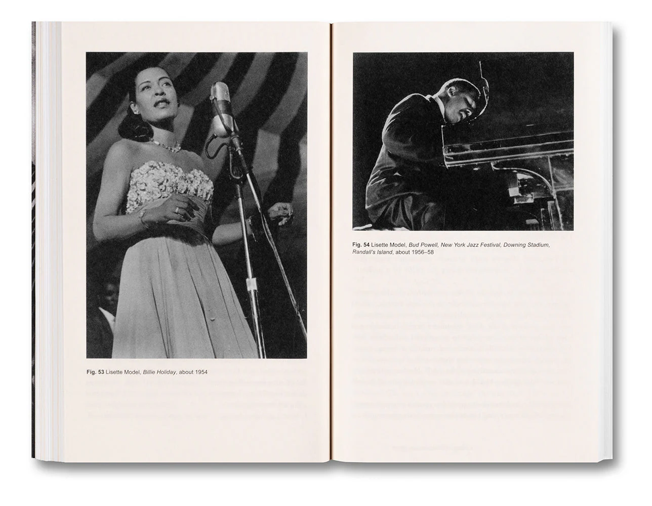 Renegade: Photography in the Life of Lisette Model - Image 14