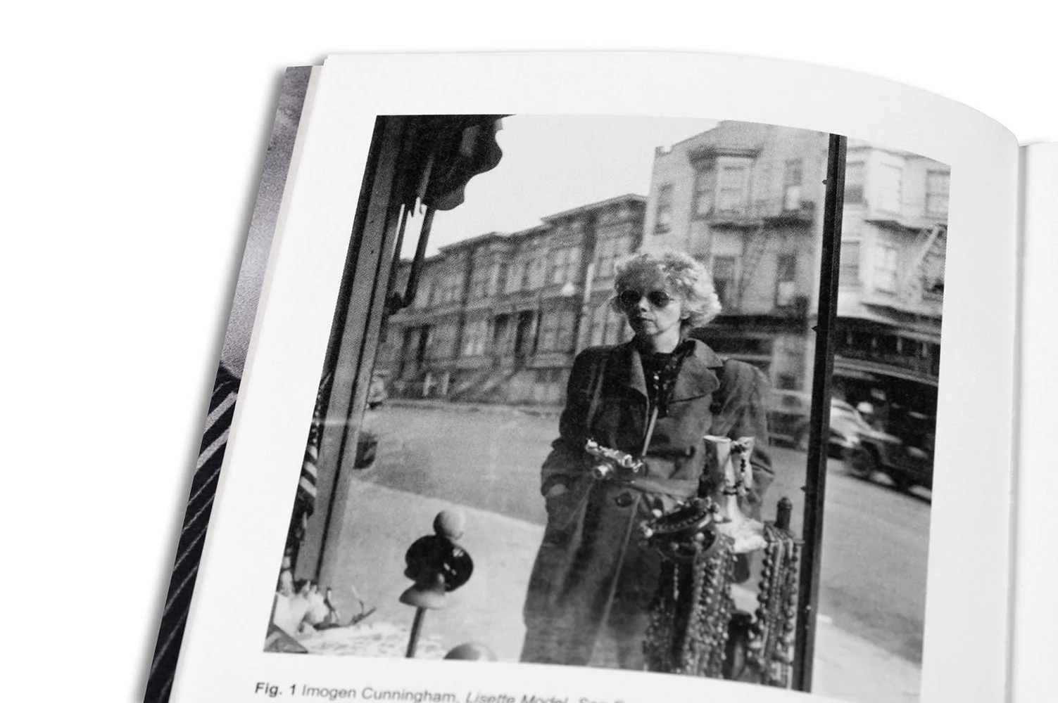 Renegade: Photography in the Life of Lisette Model - Image 19
