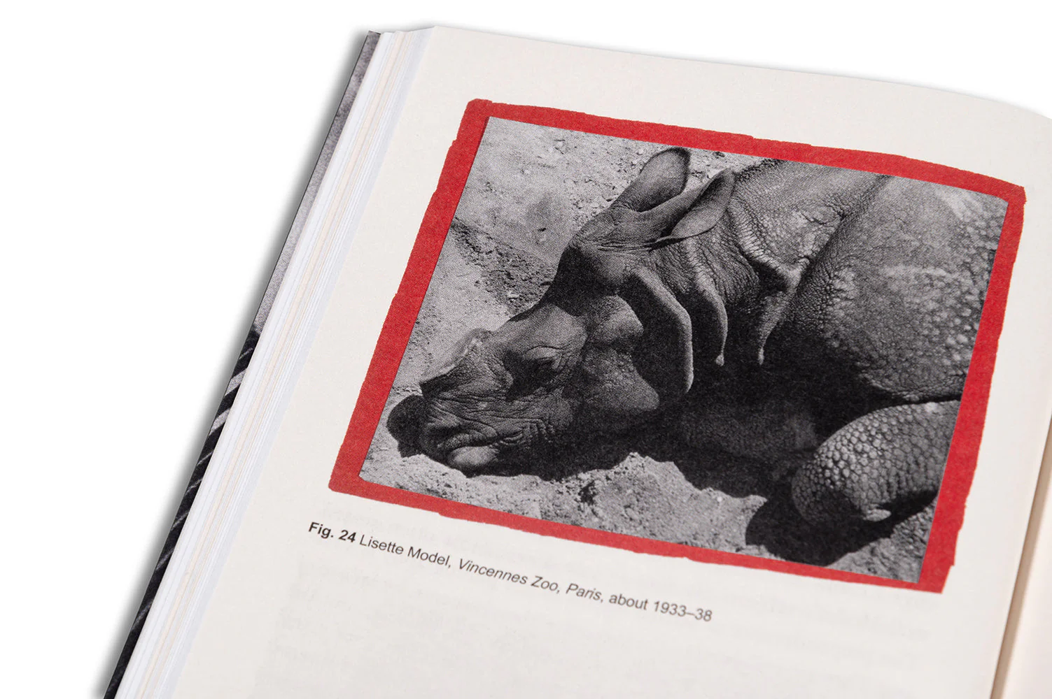 Renegade: Photography in the Life of Lisette Model - Image 22