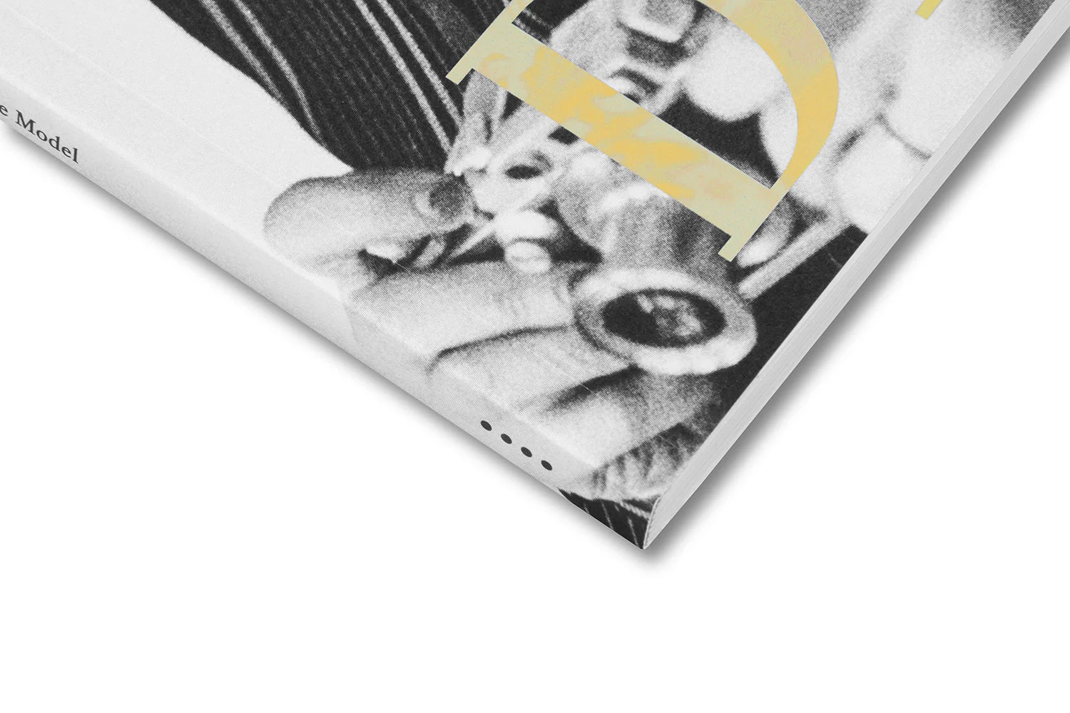 Renegade: Photography in the Life of Lisette Model - Image 25