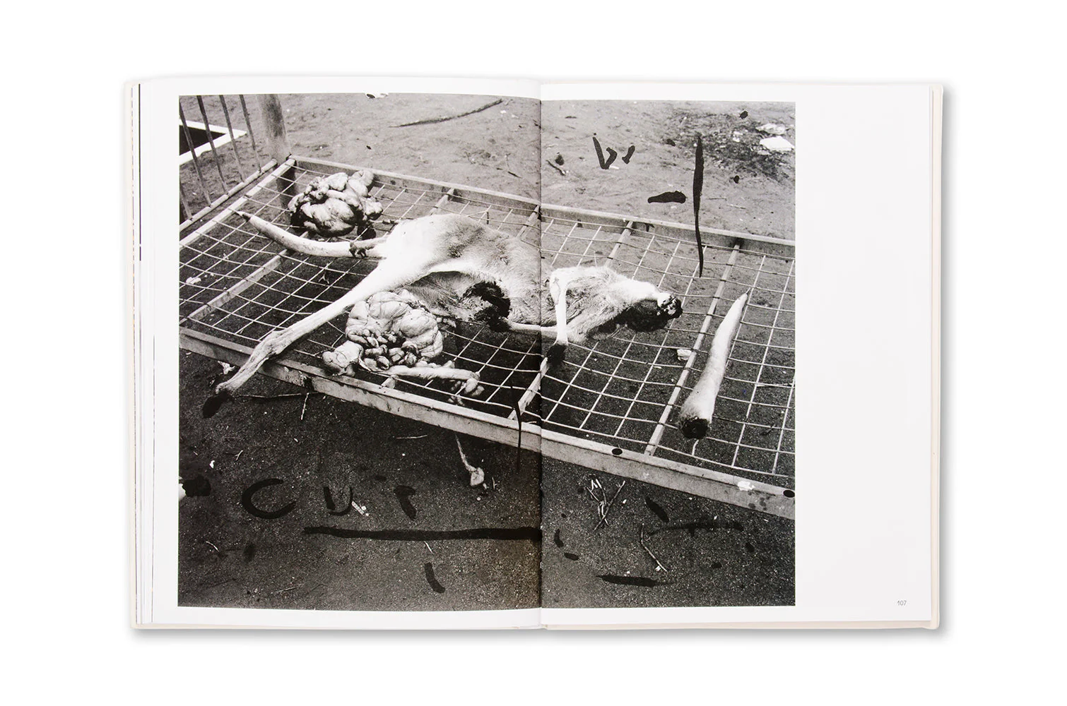 Restricted Images - Made With the Warlpiri of Central Australia - Image 12