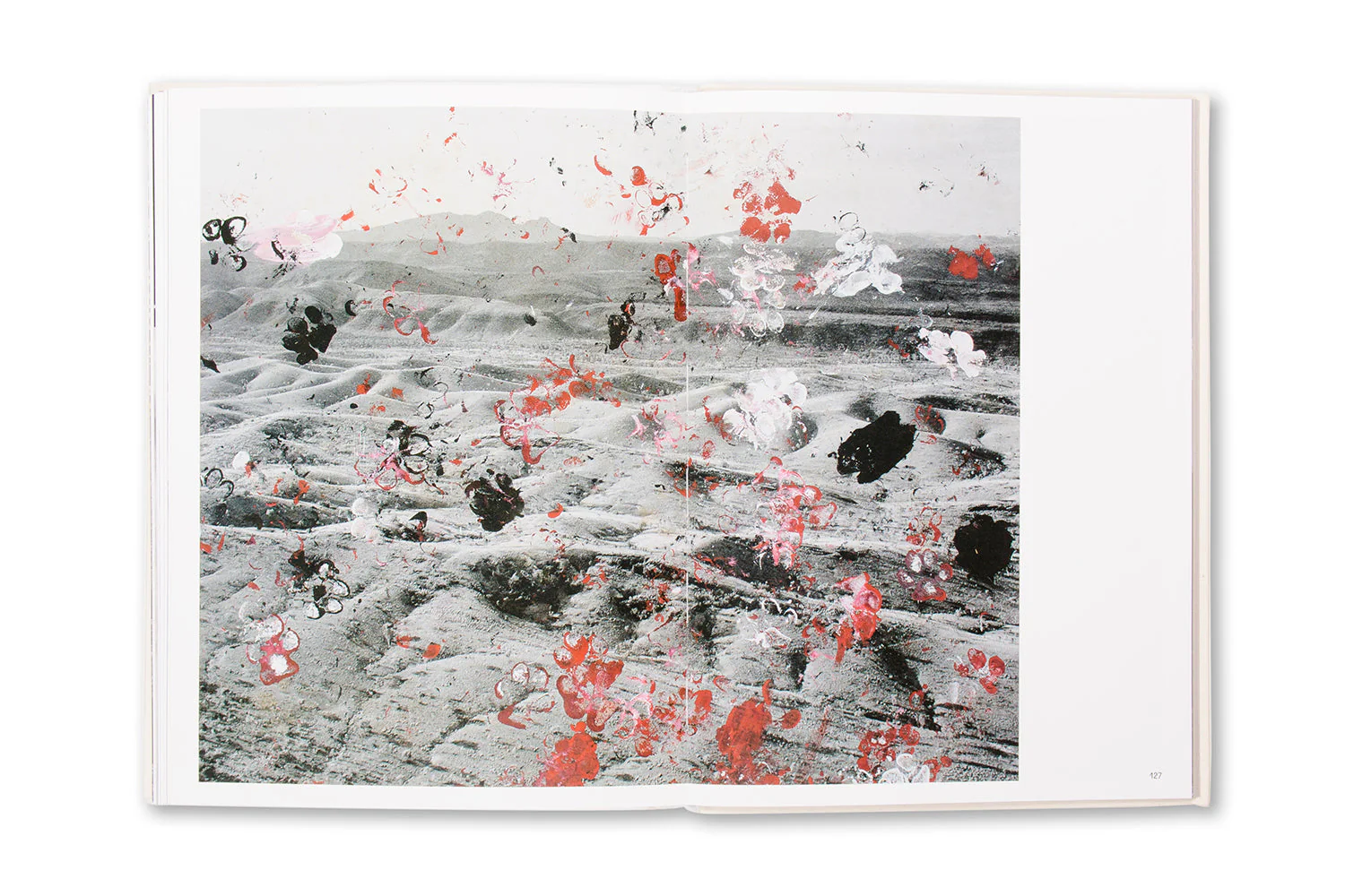 Restricted Images - Made With the Warlpiri of Central Australia - Image 13