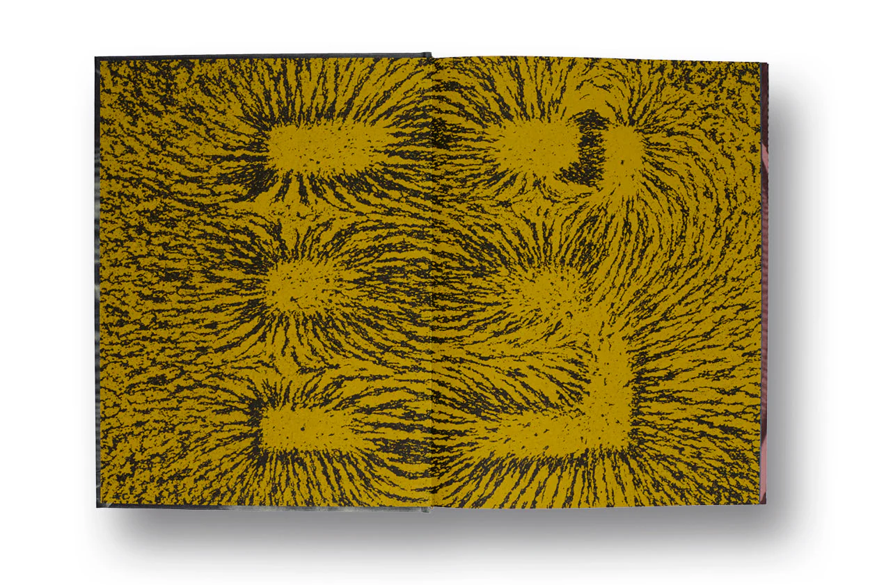 Revelations - Image 2