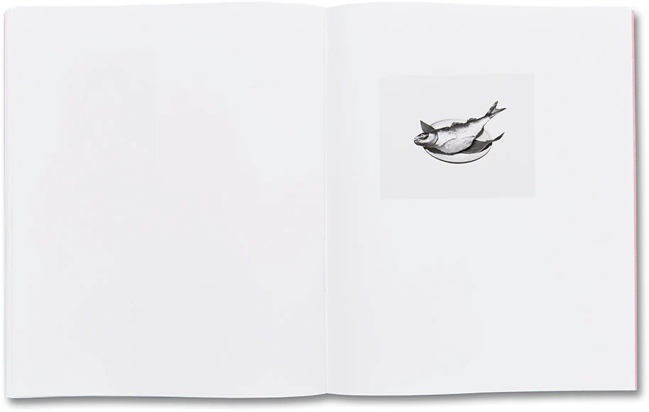 Rowing a Tetrapod - Image 16