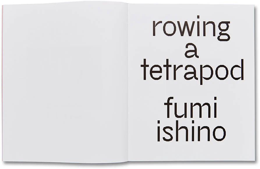 Rowing a Tetrapod - Image 4