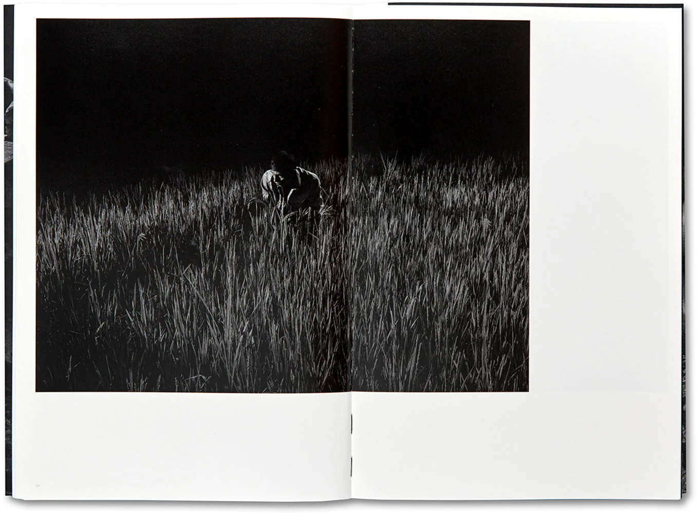 Scene (French edition) - Image 19