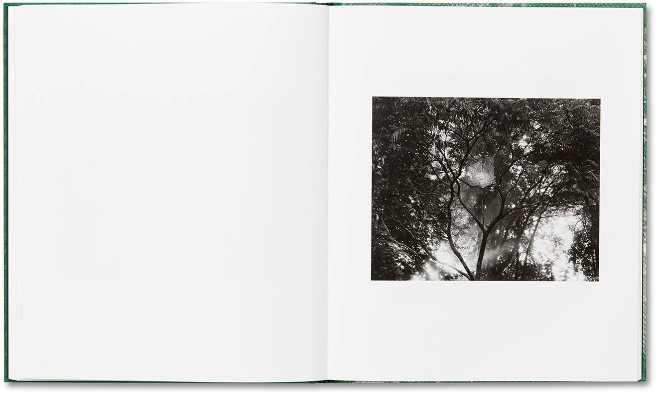 SLANT - Image 16