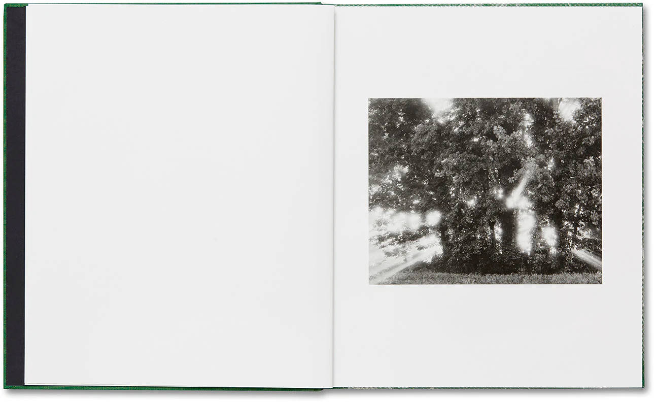 SLANT - Image 6