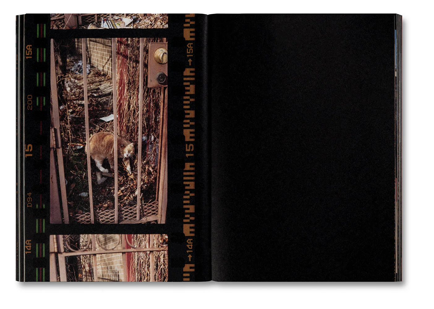 Small Death - Image 21