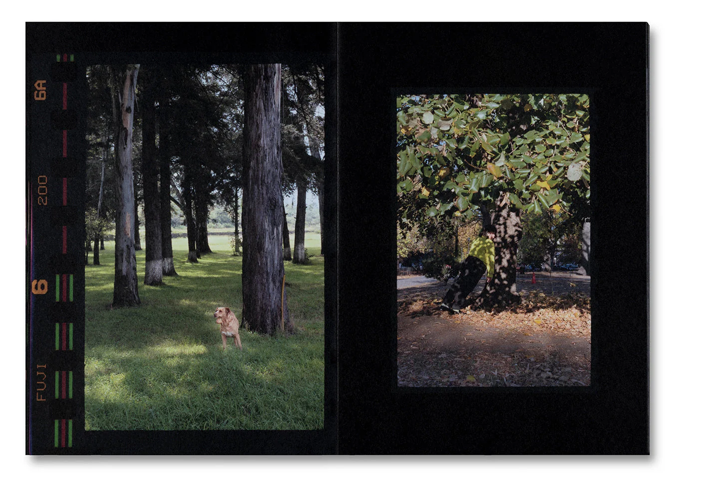 Small Death - Image 6