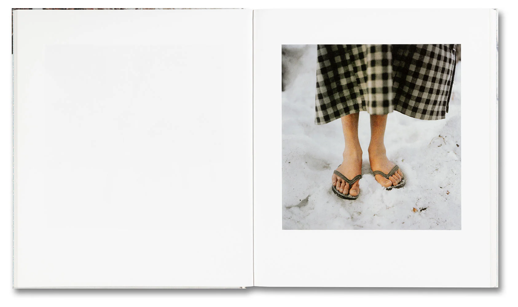 Snow - Image 13