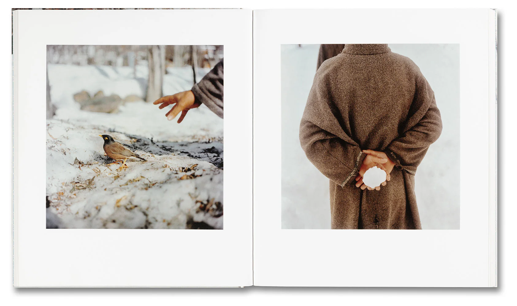 Snow - Image 14