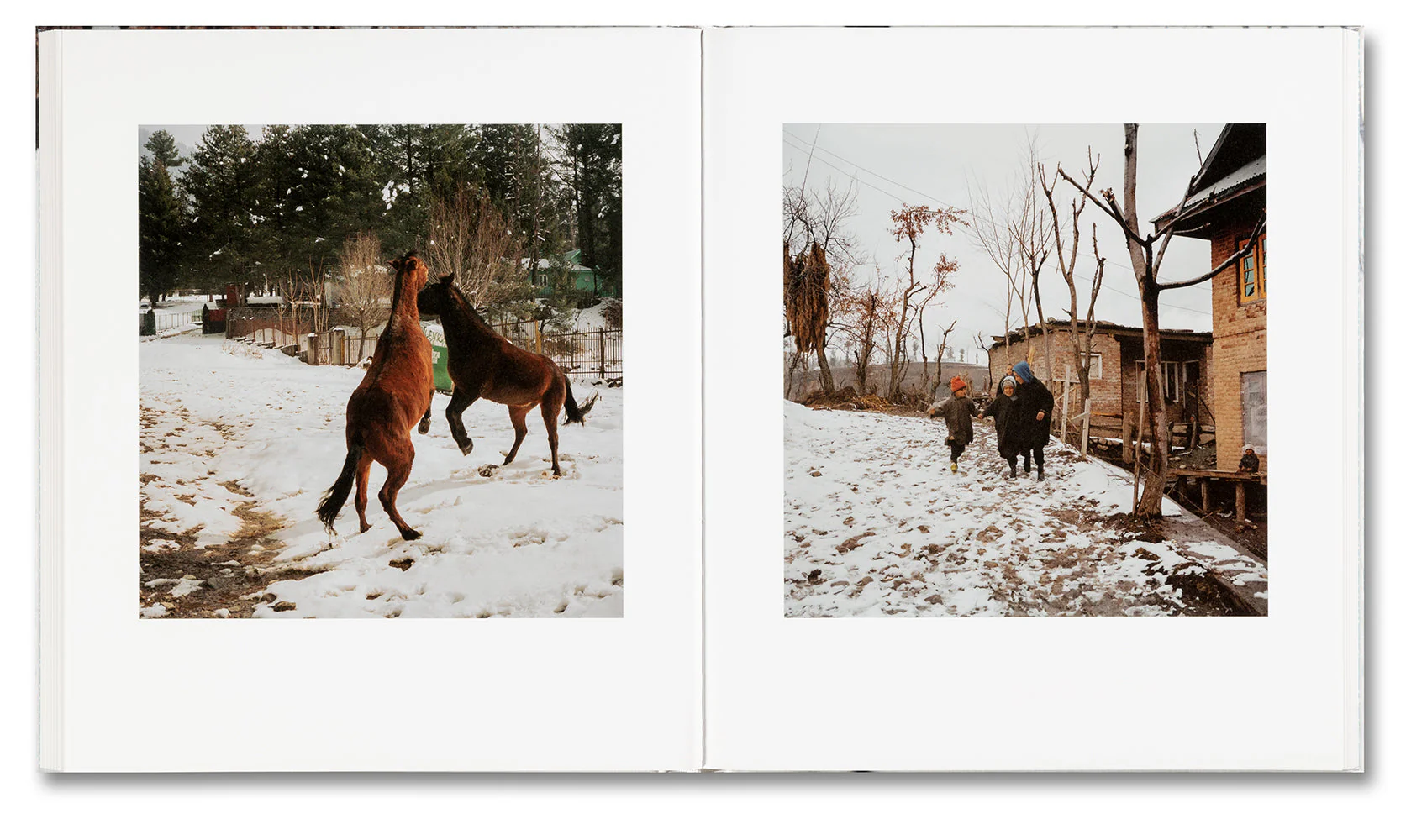 Snow - Image 20