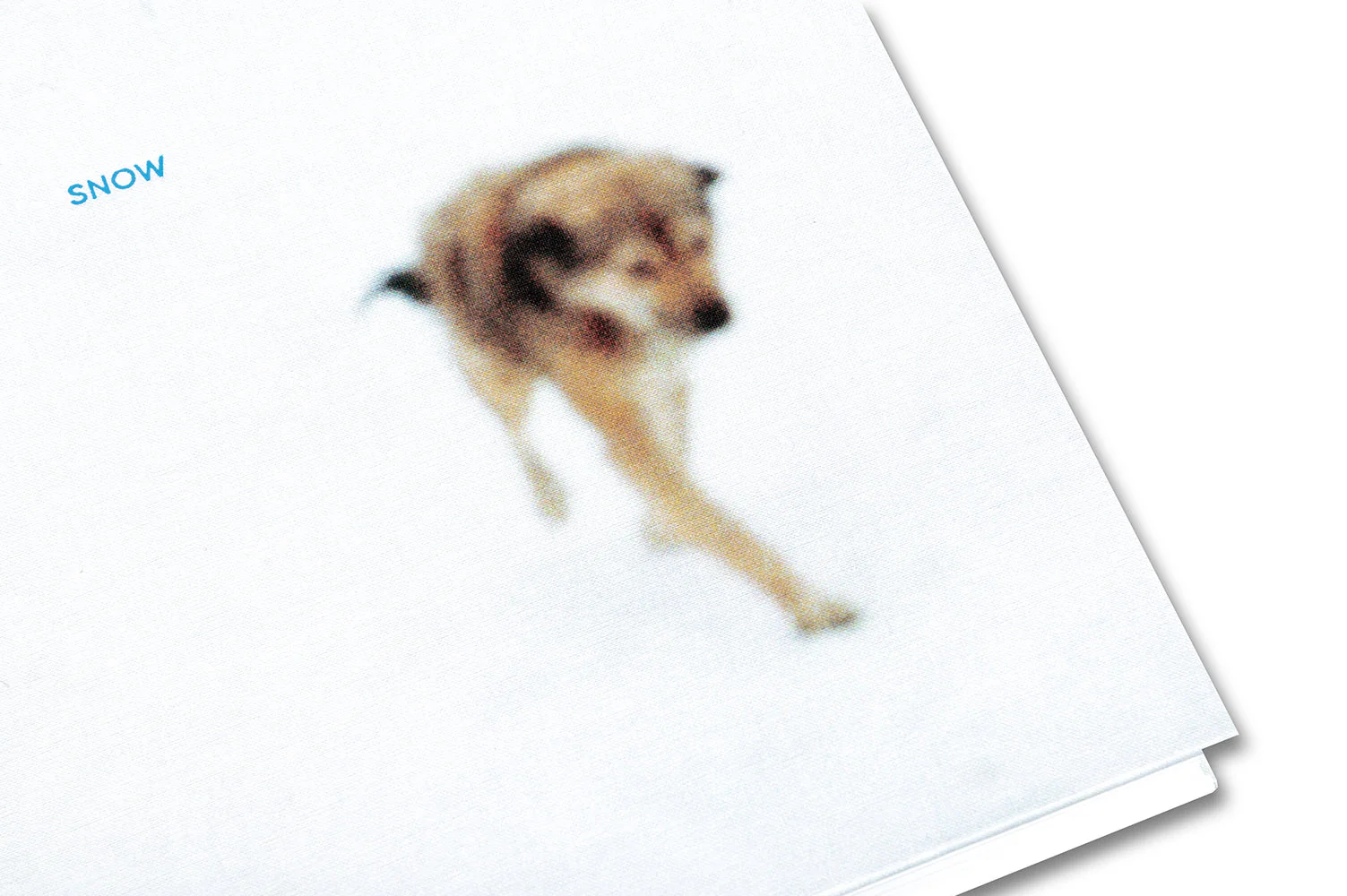 Snow - Image 36