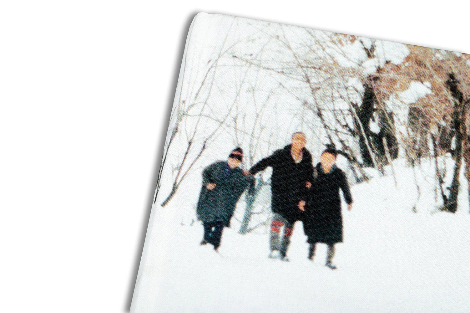 Snow - Image 37
