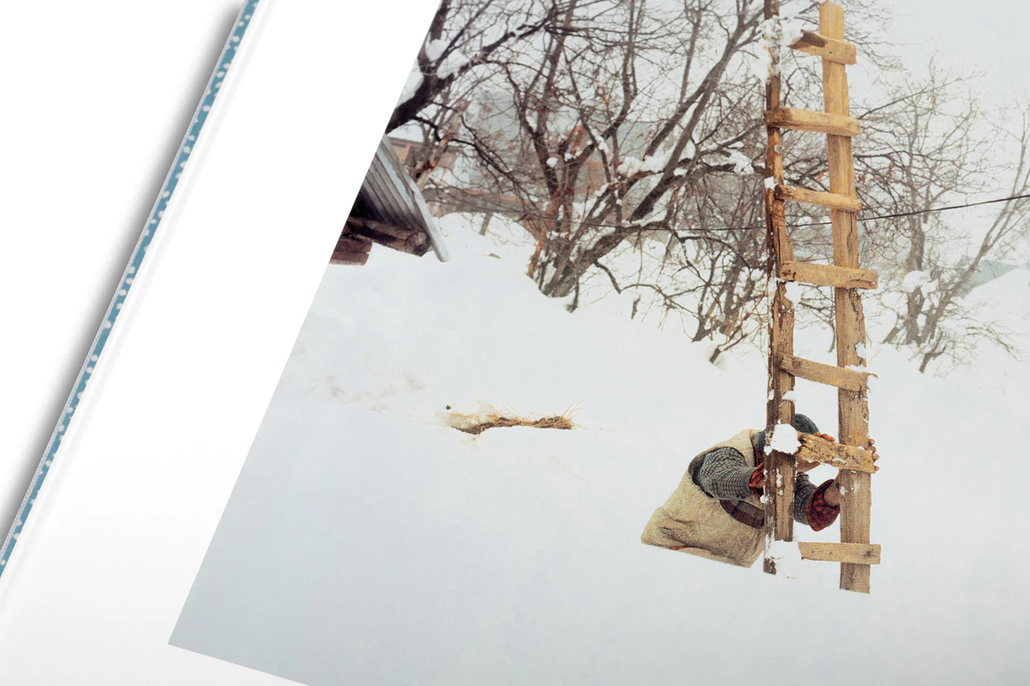 Snow - Image 39