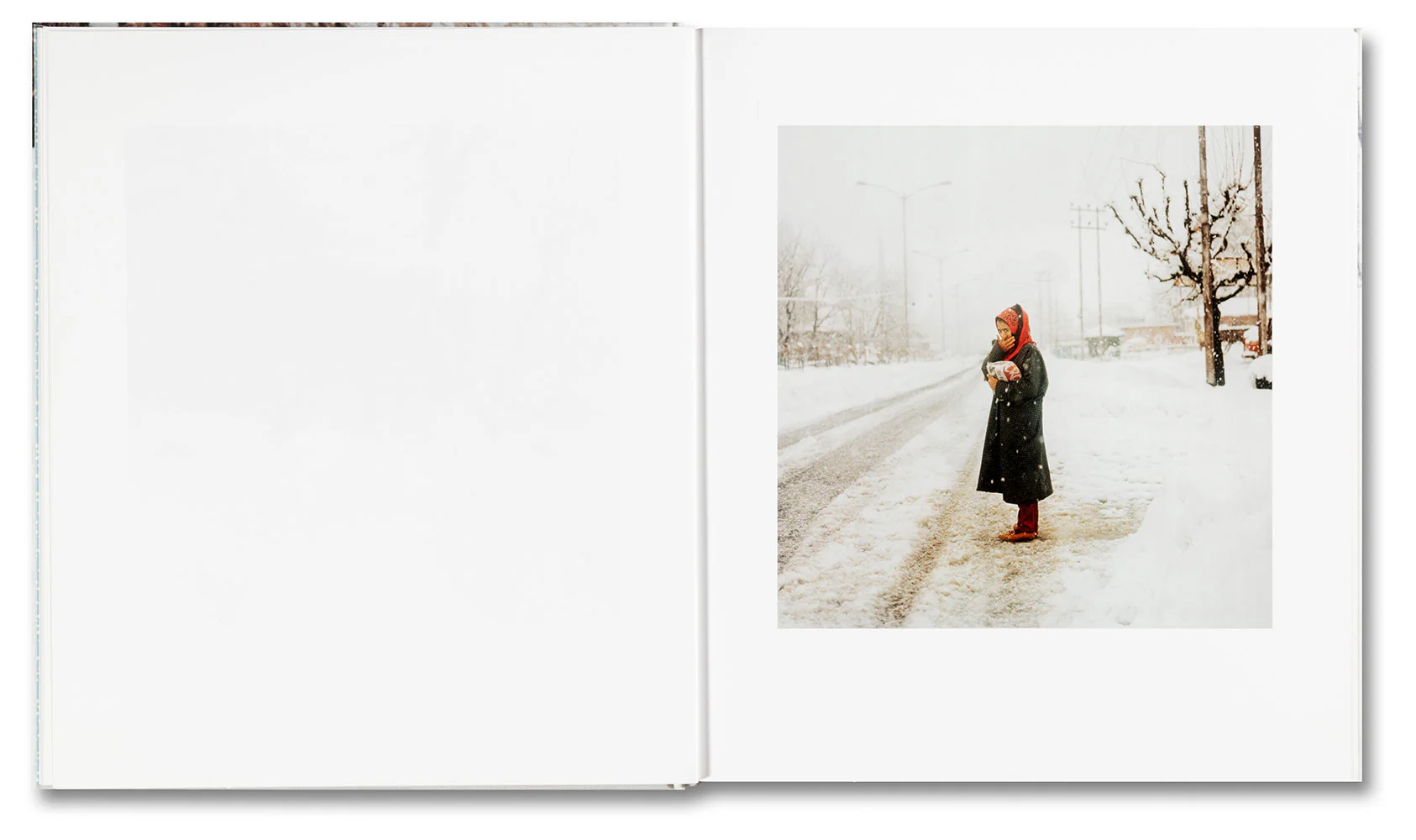 Snow - Image 7