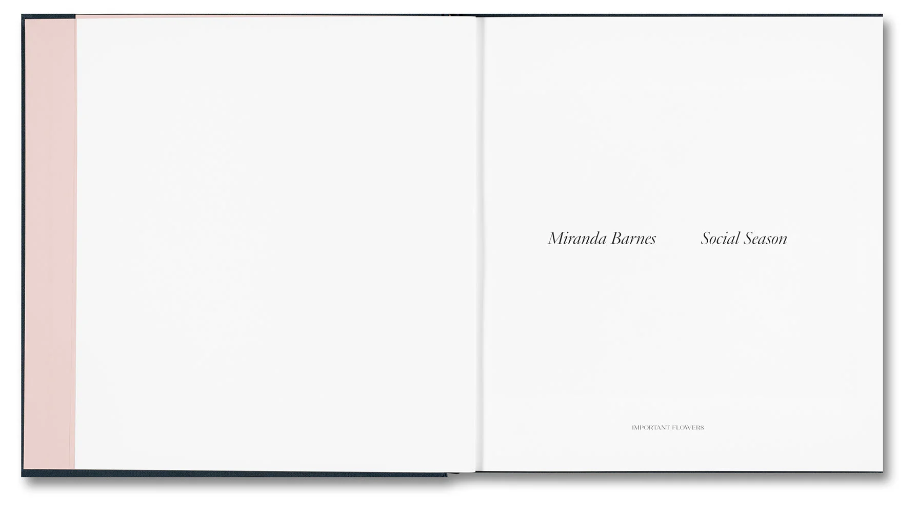 Social Season - Image 4