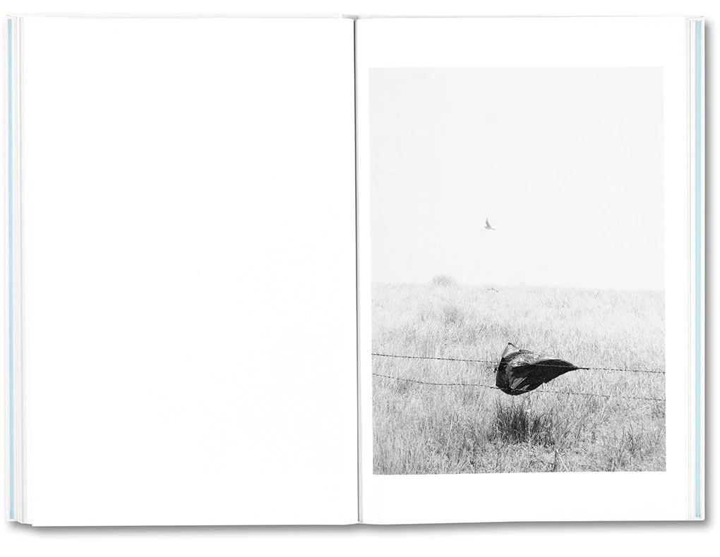 Somersault - Image 19