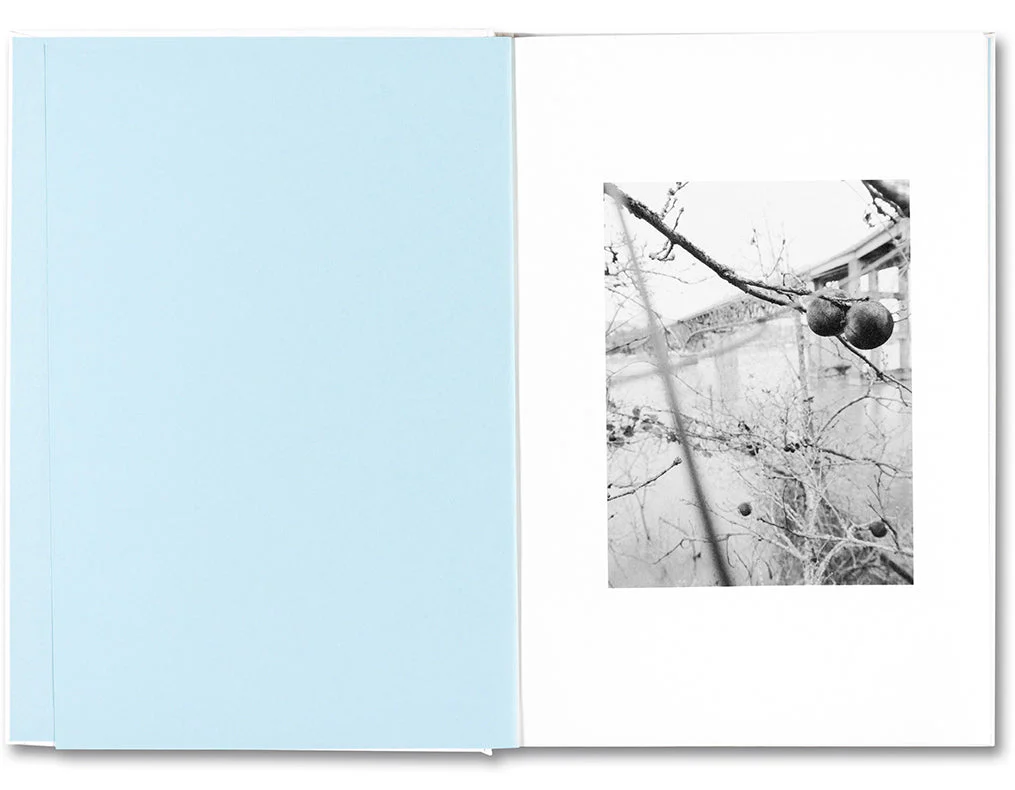Somersault - Image 3