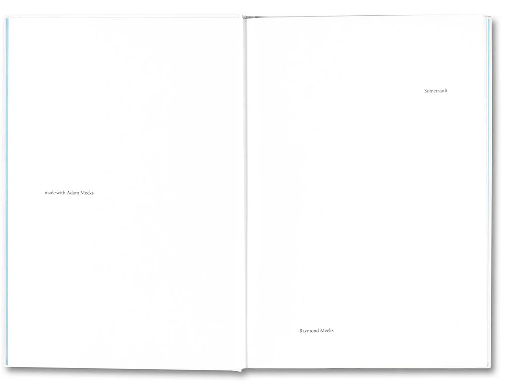 Somersault - Image 4