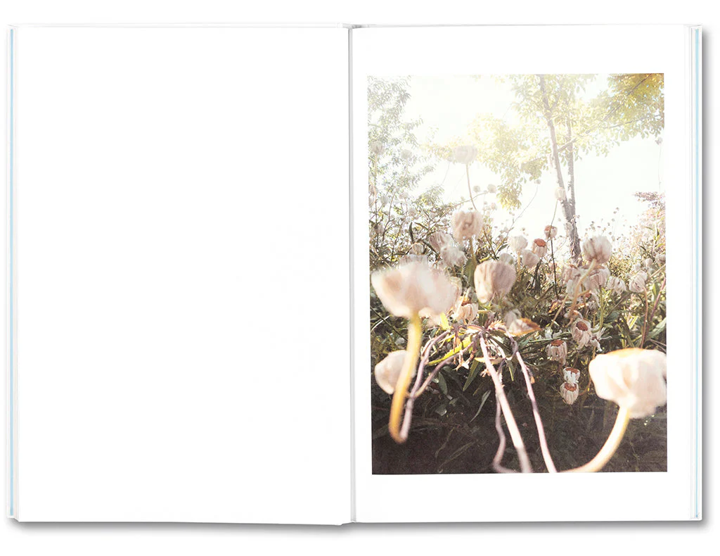 The things of the world are true / Somersault Special Edition - Image 10