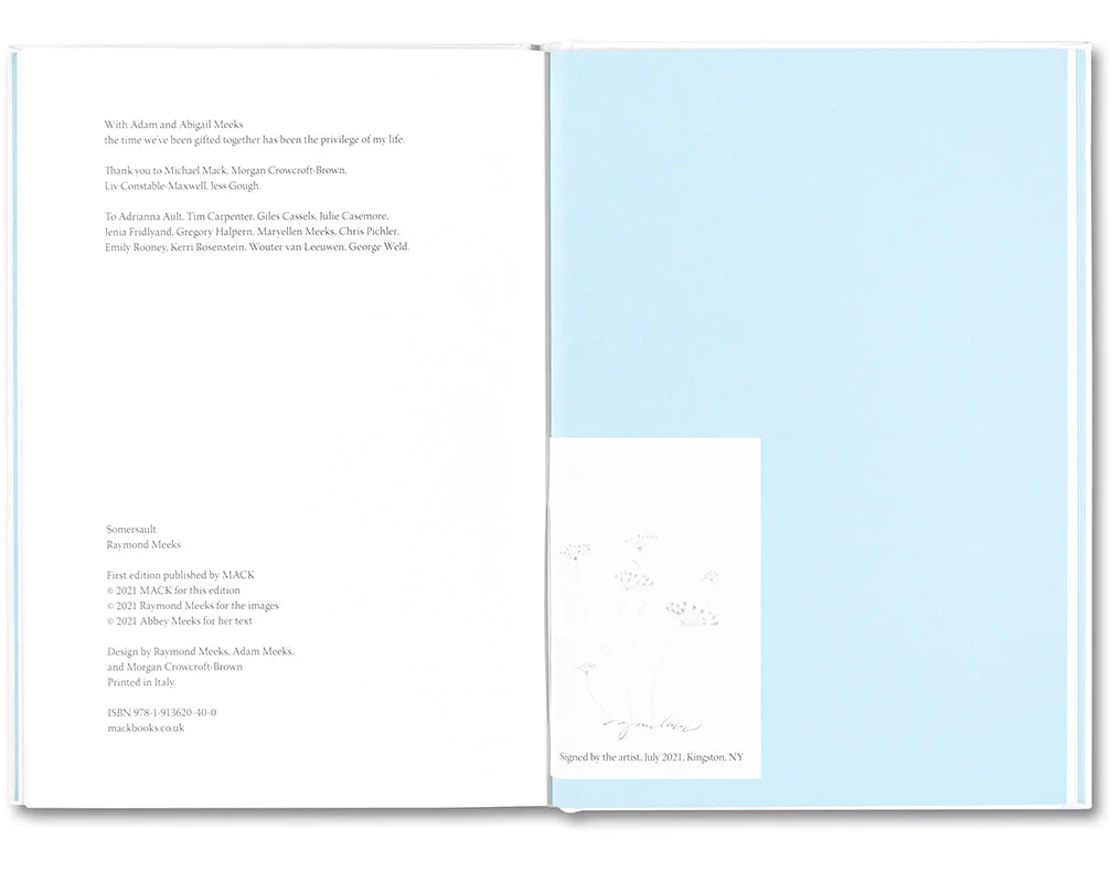 The things of the world are true / Somersault Special Edition - Image 14