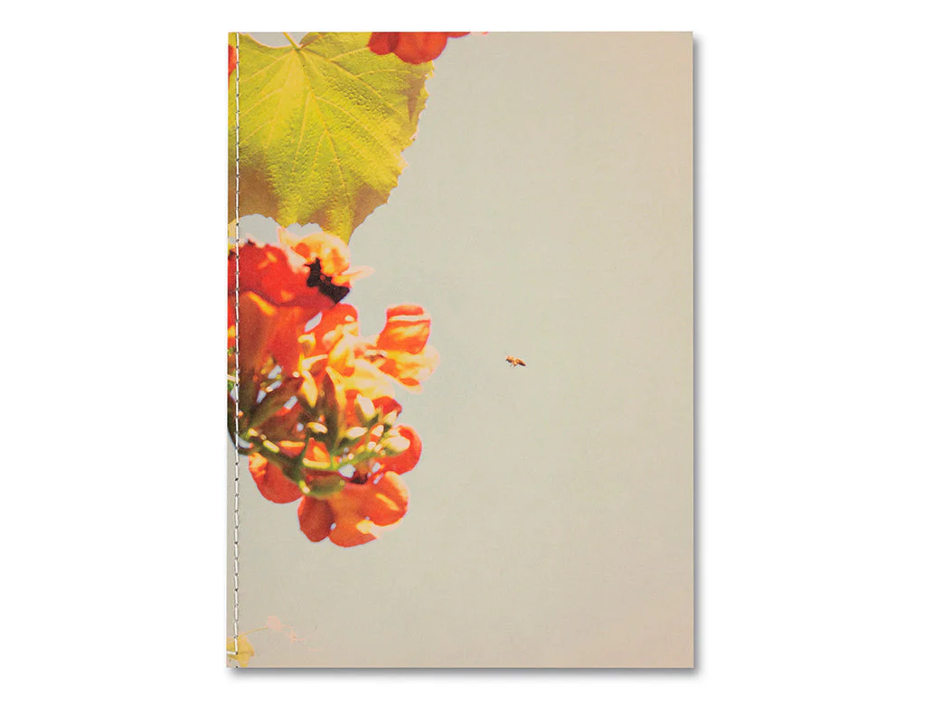 The things of the world are true / Somersault Special Edition - Image 17
