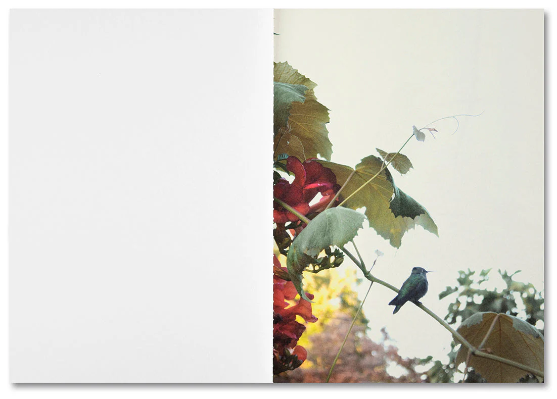 The things of the world are true / Somersault Special Edition - Image 18