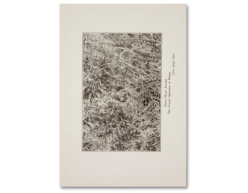 The things of the world are true / Somersault Special Edition - Image 25