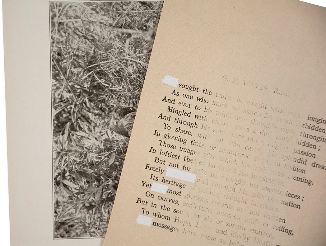 The things of the world are true / Somersault Special Edition - Image 28