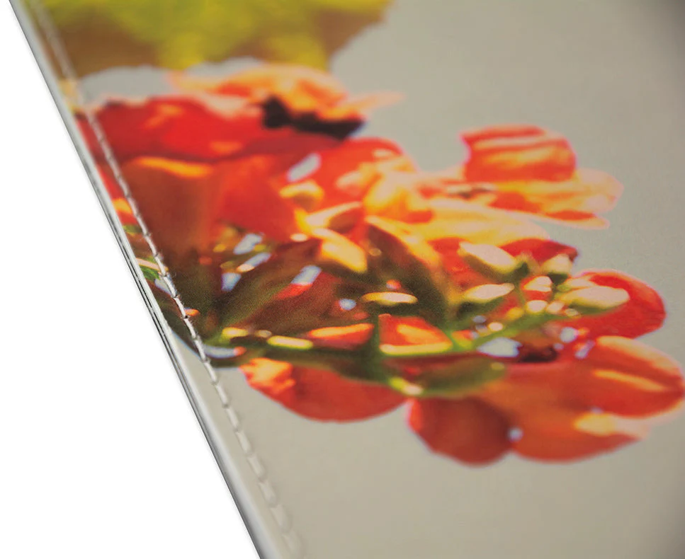 The things of the world are true / Somersault Special Edition - Image 33