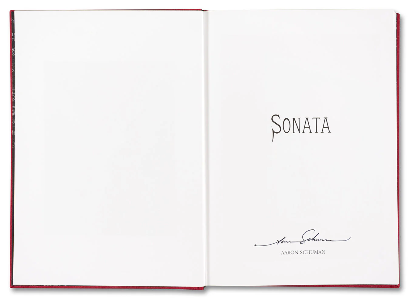 SONATA - Image 5