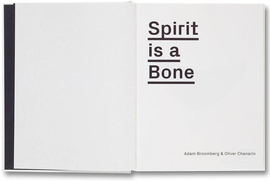 Spirit is a Bone - Image 4