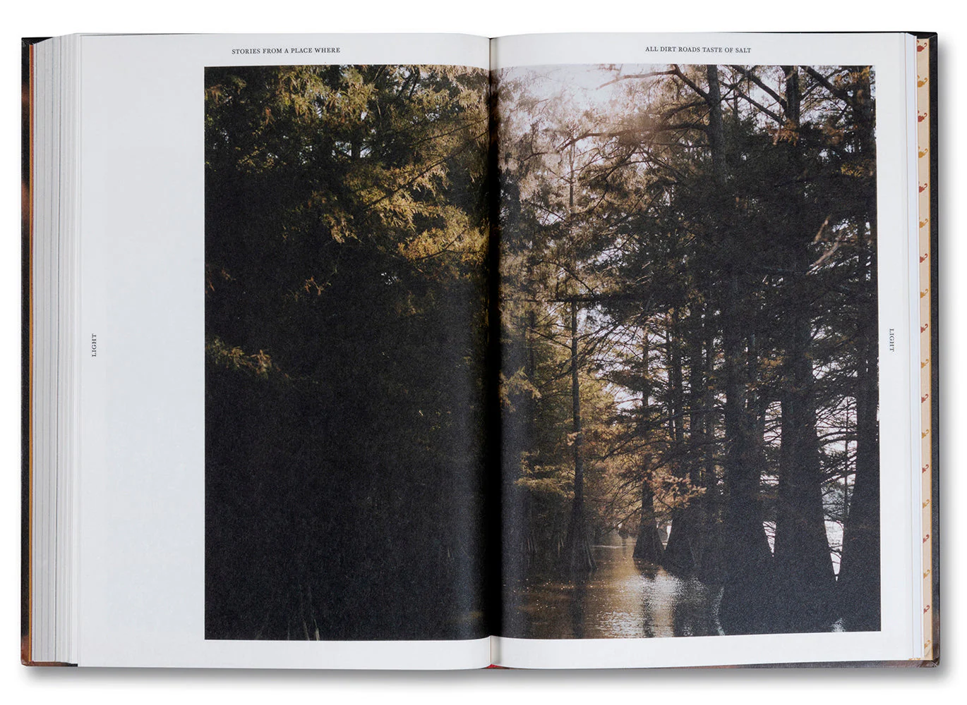 Stories From a Place Where All Dirt Roads Taste of Salt - Image 10