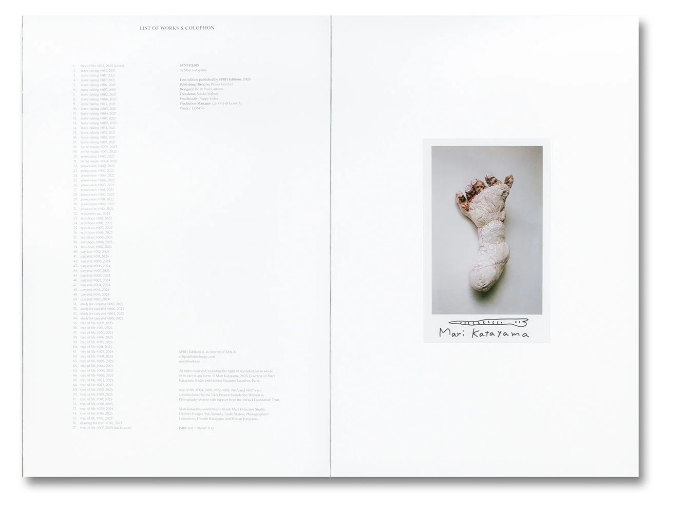 Synthesis - Image 14