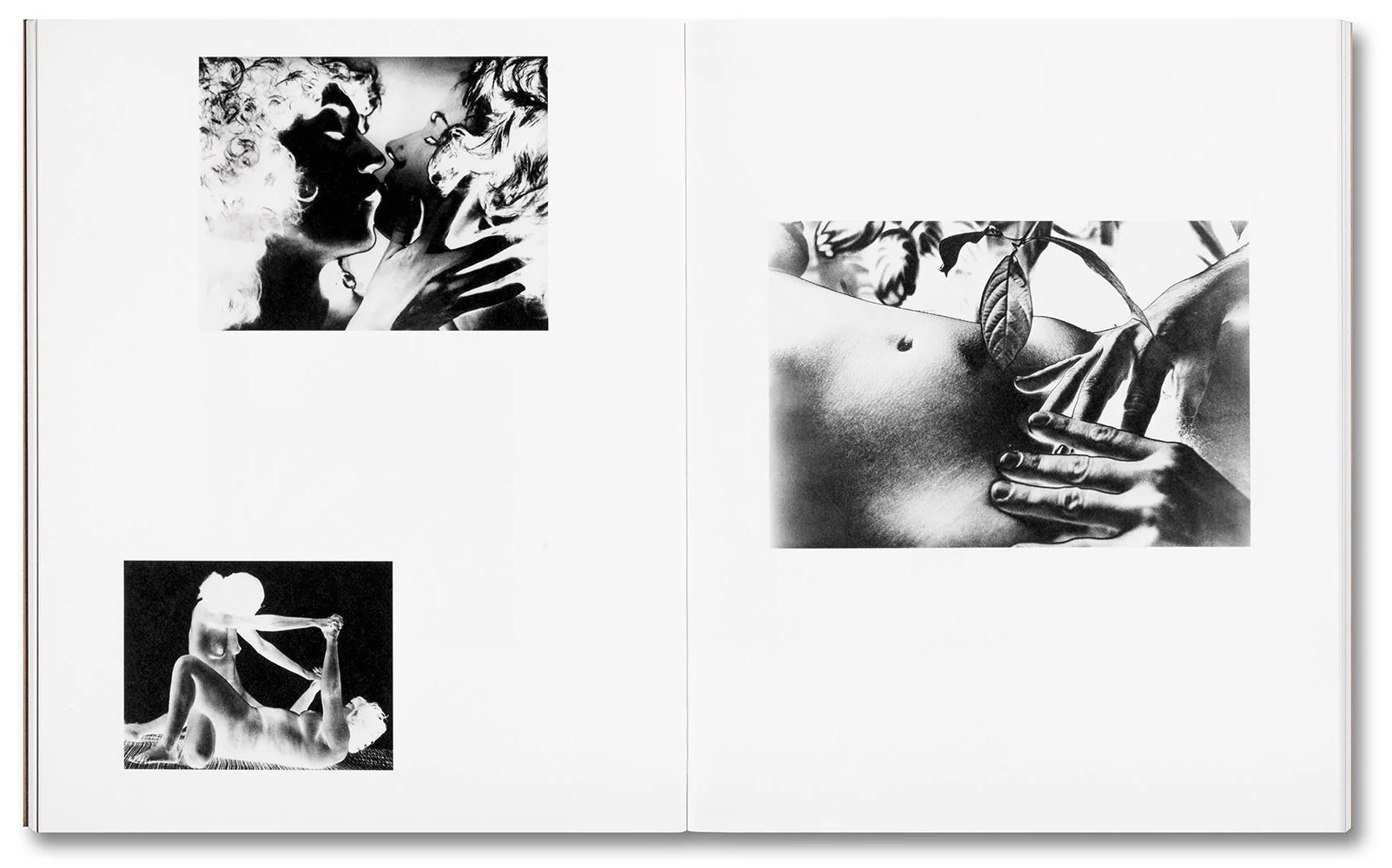 Tee A. Corinne: A forest fire between us - Image 13