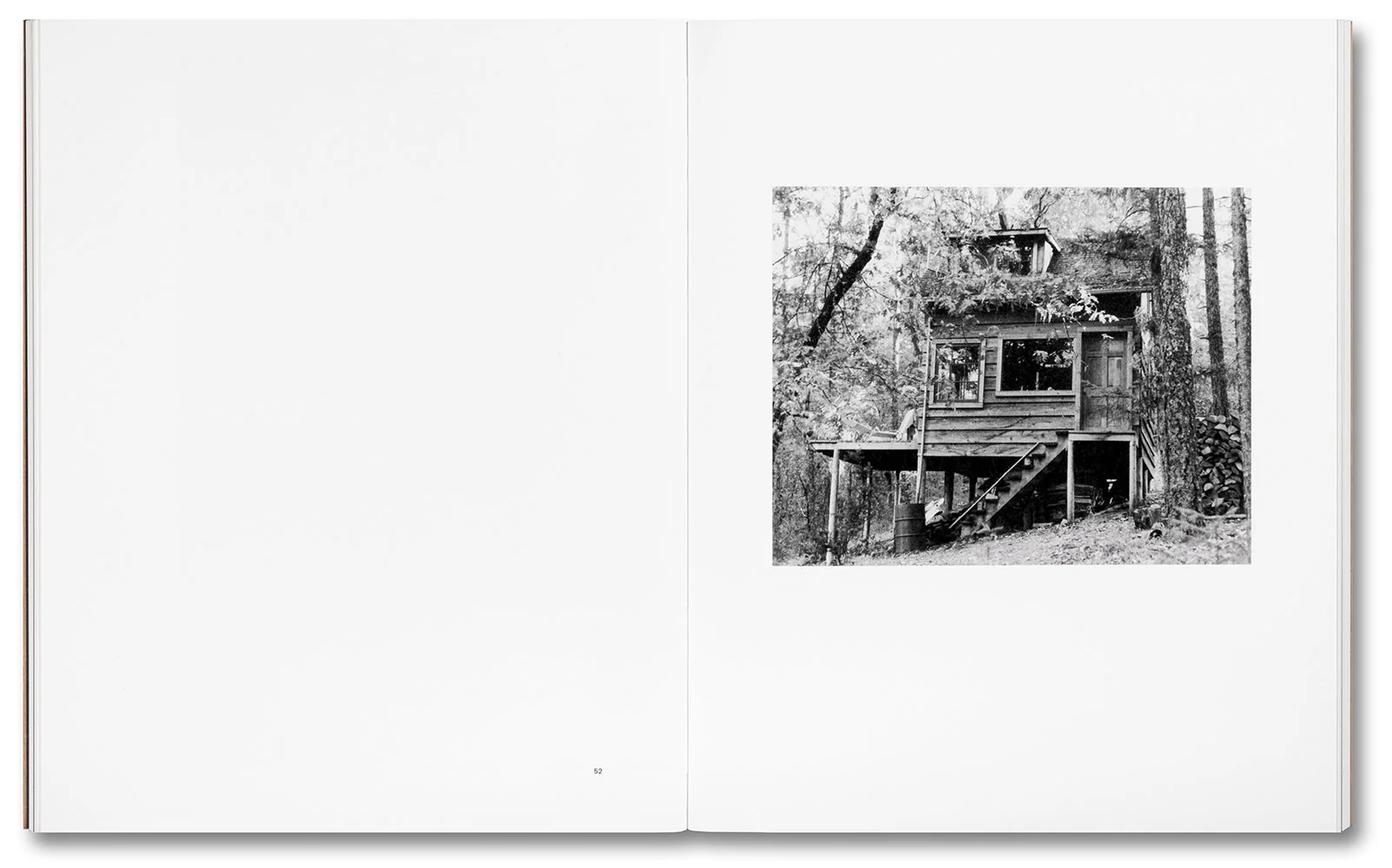 Tee A. Corinne: A forest fire between us - Image 14