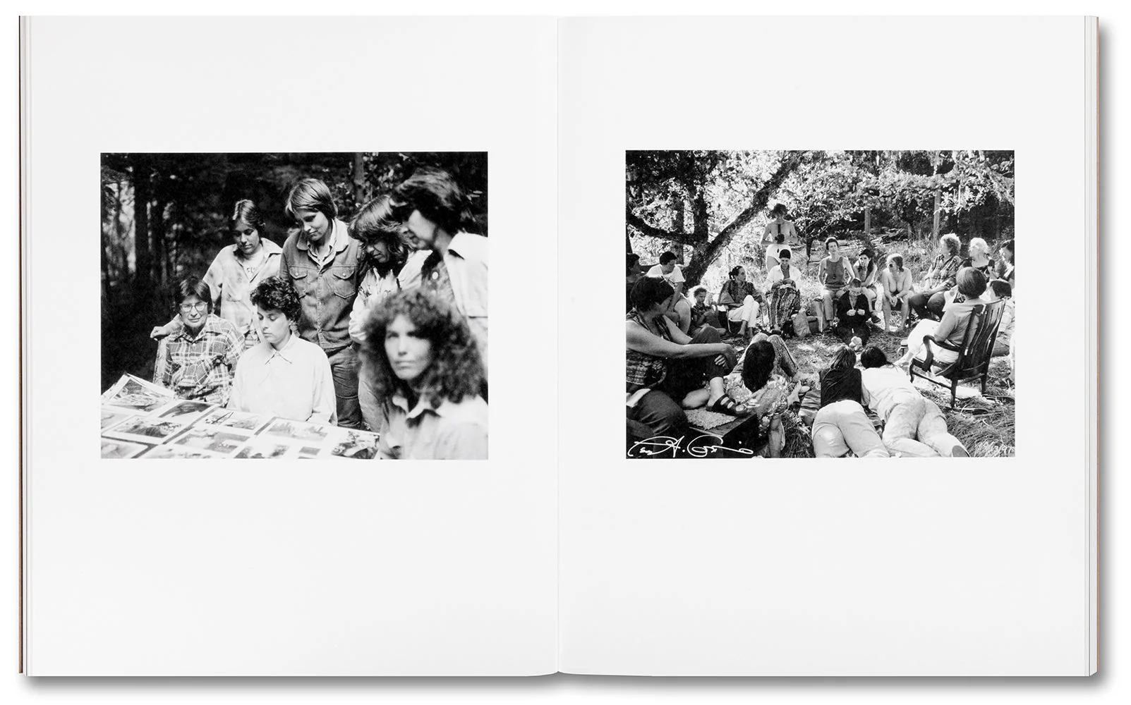 Tee A. Corinne: A forest fire between us - Image 15