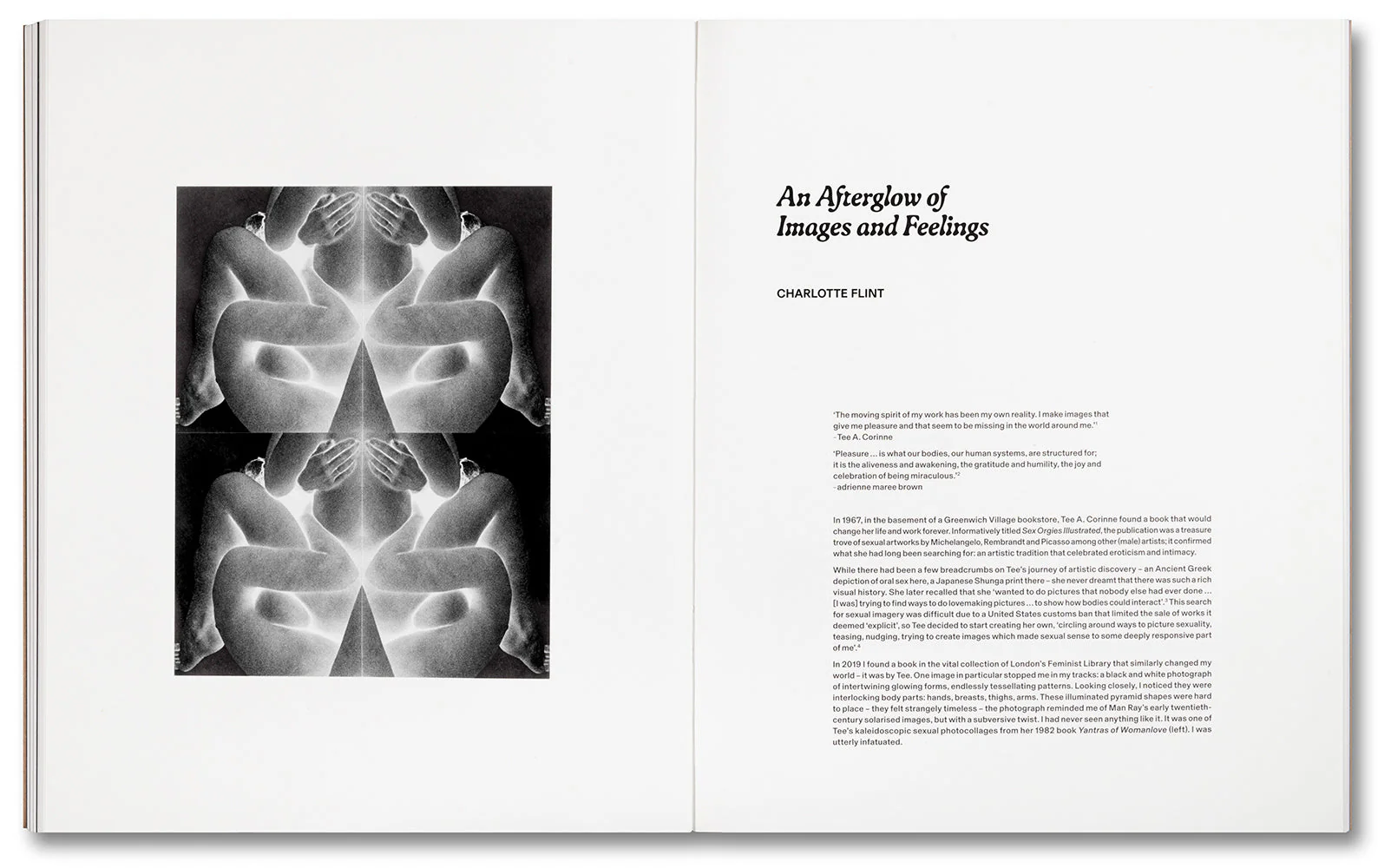 Tee A. Corinne: A forest fire between us - Image 21
