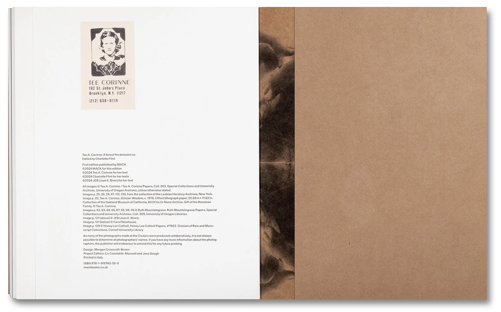 Tee A. Corinne: A forest fire between us - Image 26