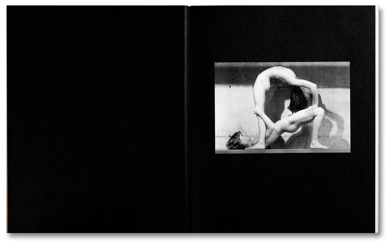 Tee A. Corinne: A forest fire between us - Image 4