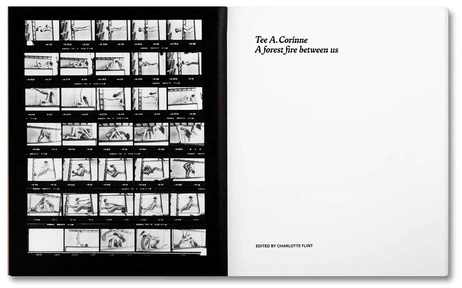 Tee A. Corinne: A forest fire between us - Image 5